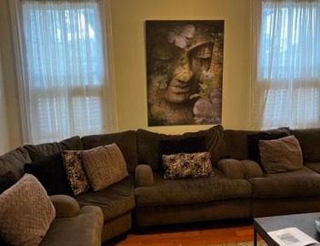 Spacious Napoleon Ave Mardi Gras Apartment 5