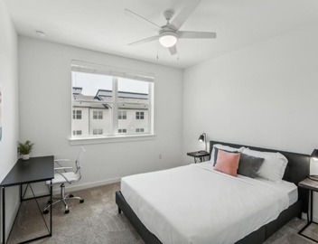Spectra Parks 7310, Stunning Austin Oasis 2