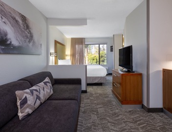 SpringHill Suites by Marriott Pasadena Arcadia 2