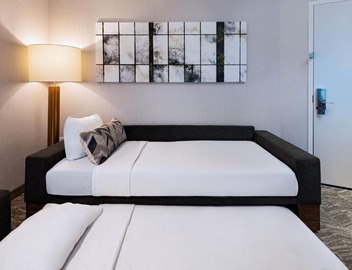 SpringHill Suites by Marriott Austin North 3