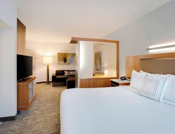 Springhill Suites Marriott Airport 5