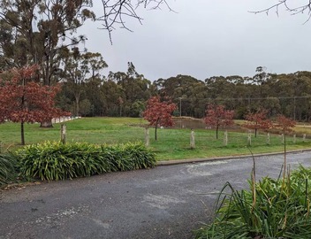 Studio at Beechworth next to the forest. Pet friendly but please let us know. . 3