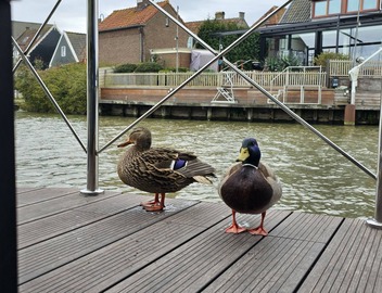 Stylish, Brand-new Houseboat in Monnickendam, Near Amsterdam 4