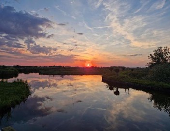 Sunset Vista 4