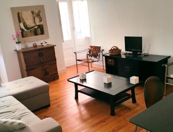 São José spot 5