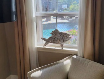 t Adorable- Entire Guest House: Pool, Hot Tub, Beautiful Fountain & Huge Patio! 4