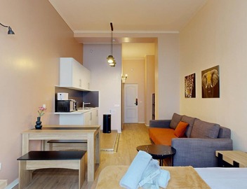 TBS 107 - Charming and elegant studio with balcony 5