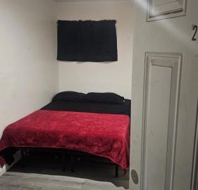 The Mount Vibe 2
