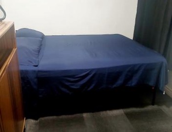 The Mount Vibe 5