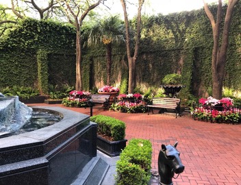 The Windsor Court 5