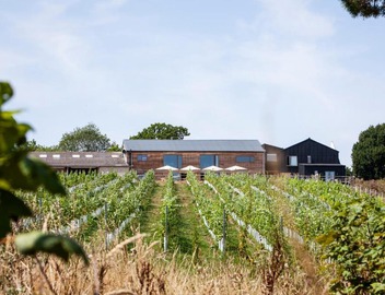 Tillingham Winery 3