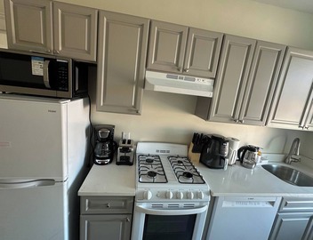 Tranquil 1-bedroom apartment with AC in charming Brookline - 11#6 2