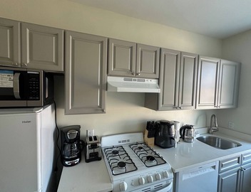 Tranquil 1-bedroom apartment with AC in charming Brookline - 11#6 3