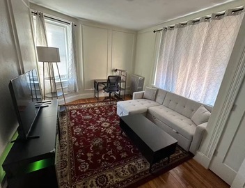 Tranquil 1-bedroom apartment with AC in charming Brookline - 11#6 4