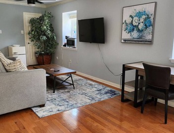 Travis Heights Oasis! 4