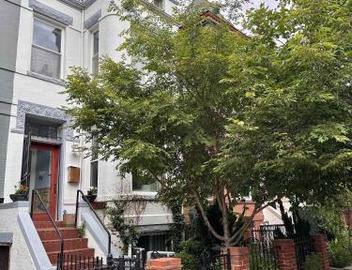 Tree-Lined Tranquillity - DC Family Retreat 5