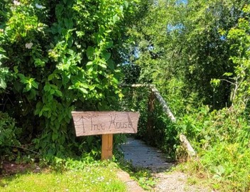 Treehouse In Devon - riverside woodland hideaway 3
