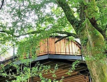Treehouse In Devon - riverside woodland hideaway 4