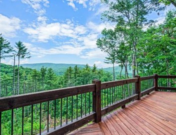 Tysons Peak 3