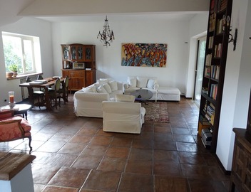 Villa surrounded by greenery 2