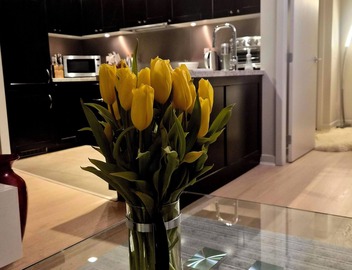 Yaletown 2BR/2BA luxury apartment in downtown Vancouver - next to MAJOR INTERNATIONAL SPORTING EVENT games 4