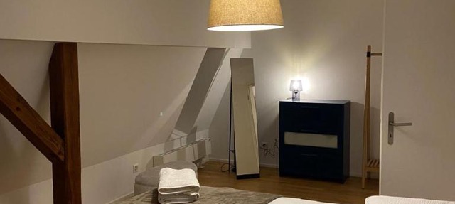 3 BR Duplex in Wiedikon