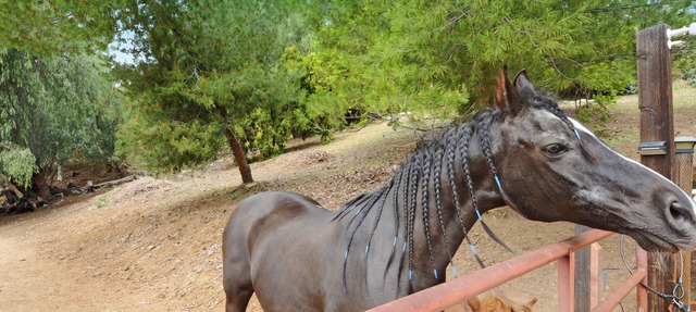 A 5-Acre Stay in La Verne