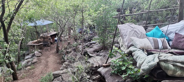 Adorable unique guest house - African bush feel.