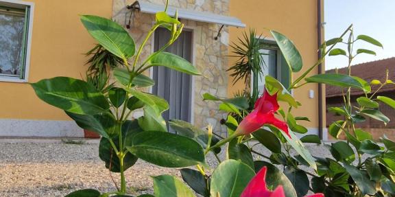 Agriturismo Fiore