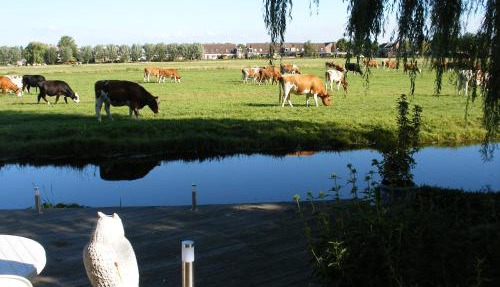 B&B-Edam