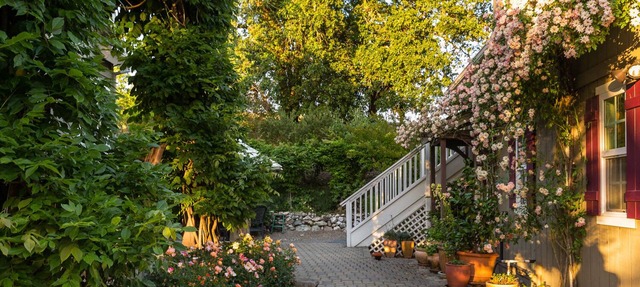 Beautiful Studio Getaway in the Heart of Wine Country