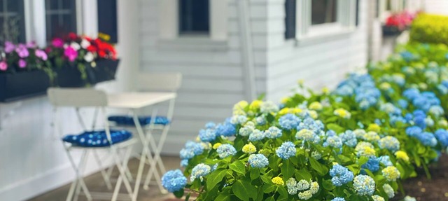 Cape Cod Motor Inn