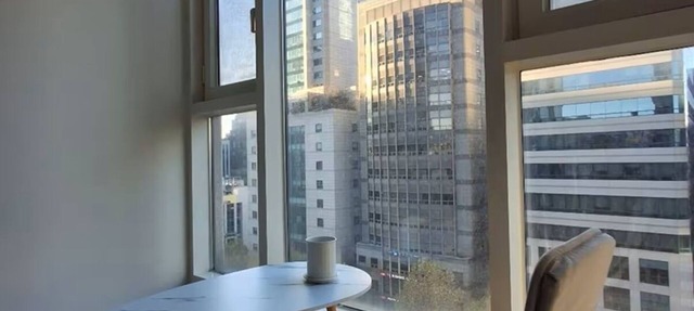 Center of Gangnam, Main Avenue Balcony view Apartment