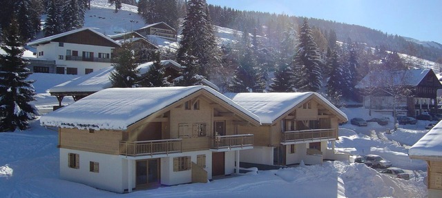 Charming apartment, 6 pers ` Savoyard style ', located at the foot of the slopes