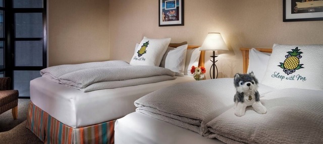 Charming Room with Fun Tropical Decor Short Walk from Univ. of Washington