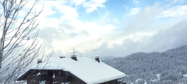 Charming studio facing Mont Blanc