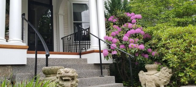 Charming Tree Top Victorian - Two Bedroom Retreat