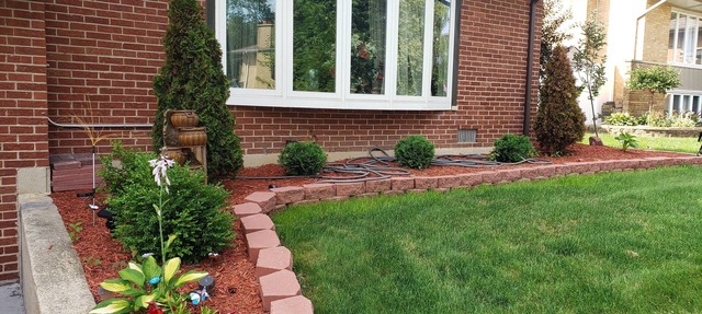 Charming Updated guest house in Lovely Quiet Neighborhood