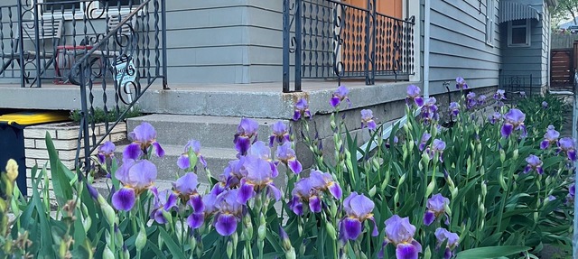 City Dweller - Pure Charm 3-bedroom house in Kansas City