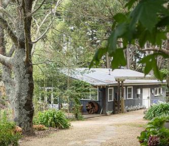 Cottage Enchantment - A Blooming Garden Getaway