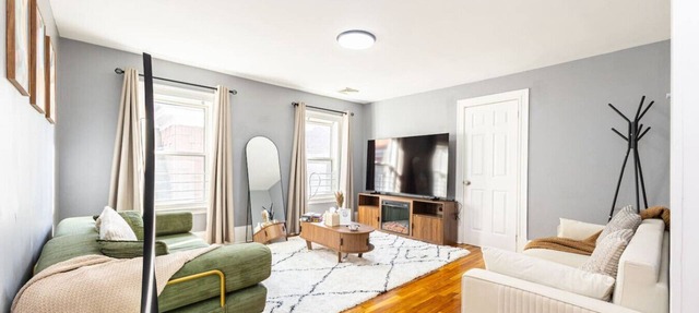 Cozy 3BD/1BA in Boston | Franklin Zoo, Boston Comm