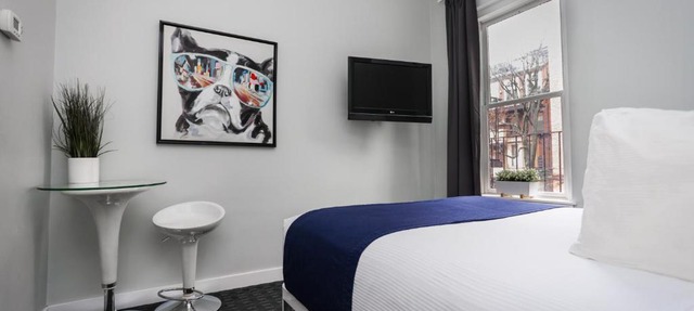 Cozy Studio on Newbury Street, #1