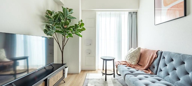 Dash Living Asakusa East