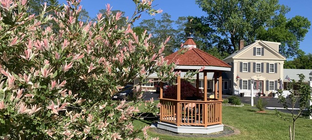 Eagle Wing Inn - Cape Cod