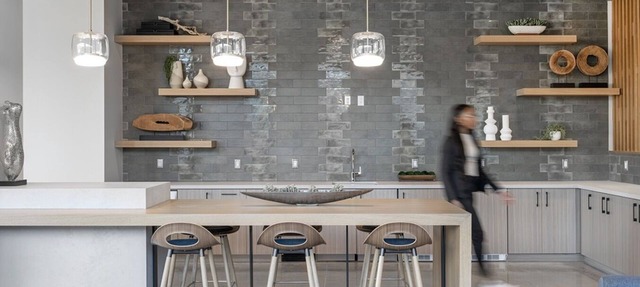 Elysian Residences Boston
