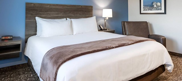Enjoy Full Kitchen & Outdoor BBQ Grill in a Pet-Friendly Room Near Restaurants