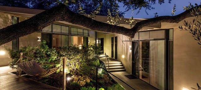 Frame Hotel - Treehouse