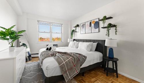 Furnished Apartment