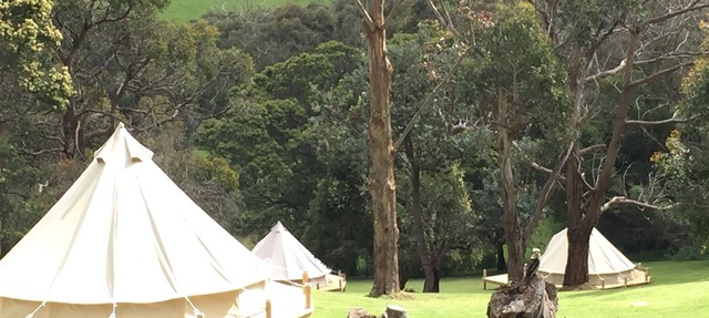Glamping at Iluka Retreat - Lakeside