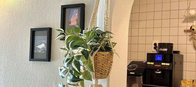 GreeneStay